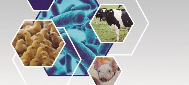 Probiotic Day