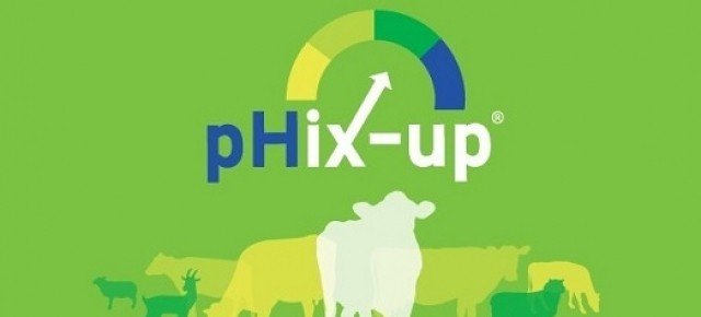 Efecto de la suplementación con pHix-up, Informe del Estudio | Texter Feed